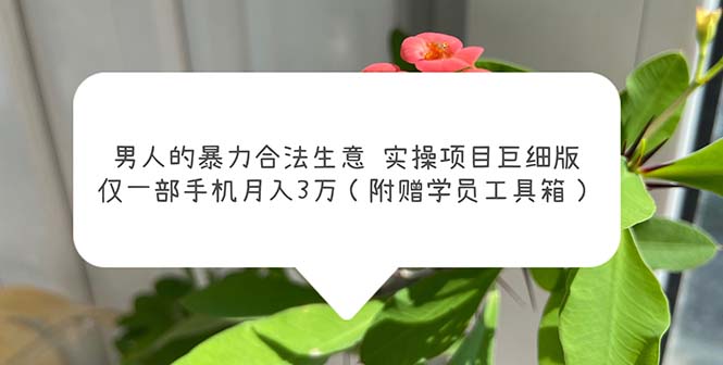 男人的暴力合法生意实操项目巨细版：仅一部手机月入3w（附赠学员工具箱） - 严选资源大全 - 严选资源大全