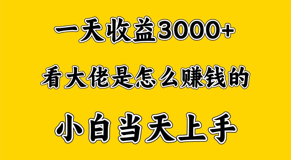 一天赚3000多，大佬是这样赚到钱的，小白当天上手，穷人翻身项目 - 严选资源大全 - 严选资源大全