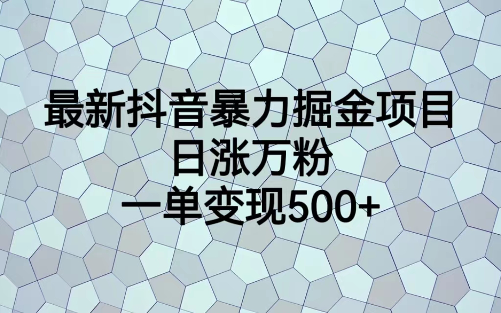 最新抖音暴力掘金项目，日涨万粉，一单变现500+ - 严选资源大全 - 严选资源大全