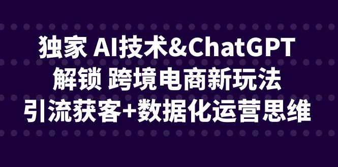 独家 AI技术&ChatGPT解锁 跨境电商新玩法，引流获客+数据化运营思维 - 严选资源大全 - 严选资源大全