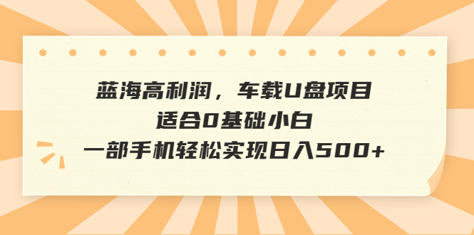 蓝海高利润，车载U盘项目，适合0基础小白，一部手机轻松实现日入500+ - 严选资源大全 - 严选资源大全