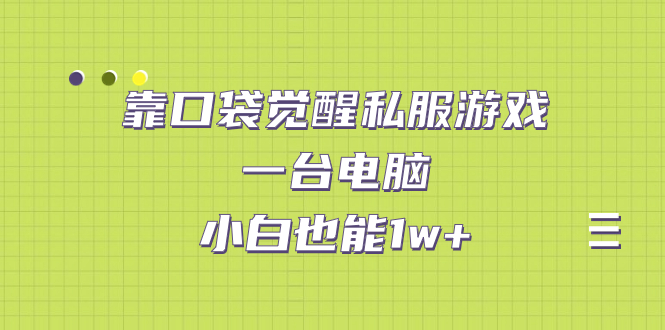 靠口袋觉醒私服游戏，一台电脑，小白也能1w+（教程+工具+资料） - 严选资源大全 - 严选资源大全