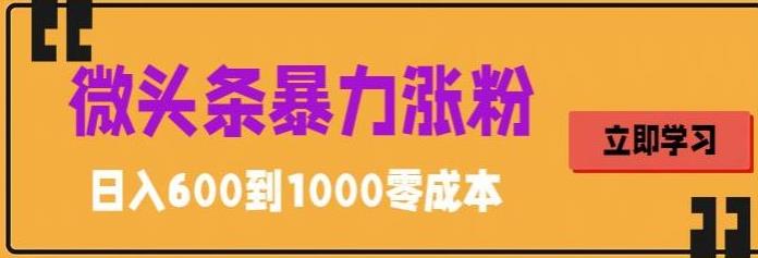 微头条暴力涨粉技巧搬运文案就能涨几万粉丝，简单0成本，日赚600 - 严选资源大全 - 严选资源大全