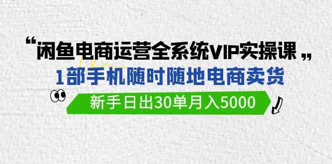 （9547期）闲鱼电商运营全系统VIP实战课，1部手机随时随地卖货，新手日出30单月入5000 - 严选资源大全 - 严选资源大全