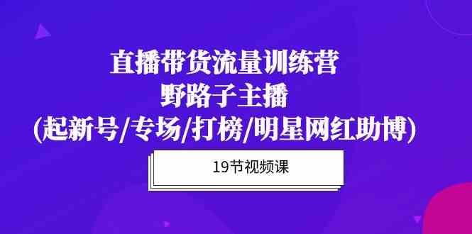 （10016期）直播带货流量特训营，野路子主播(起新号/专场/打榜/明星网红助博)19节课 - 严选资源大全 - 严选资源大全