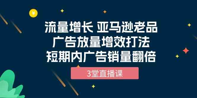 （10112期）流量增长 亚马逊老品广告放量增效打法，短期内广告销量翻倍（3堂直播课） - 严选资源大全 - 严选资源大全