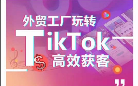 外贸工厂玩转TikTok高效获客，多种引流方式与账号定位技巧，拆解爆款短视频打造成功案例 - 严选资源大全 - 严选资源大全