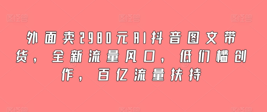 外面卖2980元AI抖音图文带货，全新流量风口，低们槛创作，百亿流量扶持 - 严选资源大全 - 严选资源大全