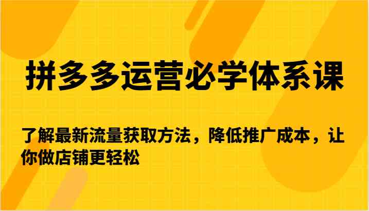 拼多多运营必学体系课-了解最新流量获取方法，降低推广成本，让你做店铺更轻松 - 严选资源大全 - 严选资源大全