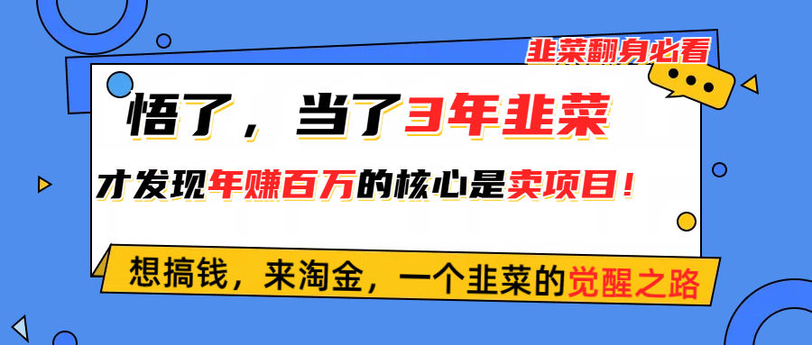 （10759期）悟了，当了3年韭菜，才发现网赚圈年赚100万的核心是卖项目，含泪分享！ - 严选资源大全 - 严选资源大全