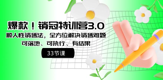 爆款！销冠特训营3.0之顺人性销售法，全方位解决销售难题、可落地 - 严选资源大全 - 严选资源大全