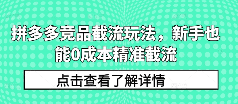 拼多多竞品截流玩法，新手也能0成本精准截流 - 严选资源大全 - 严选资源大全