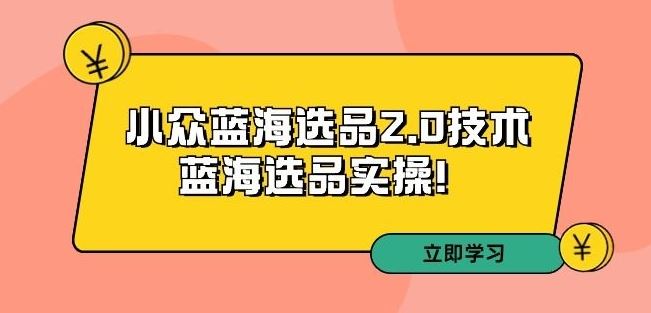 拼多多培训第33期：小众蓝海选品2.0技术-蓝海选品实操！ - 严选资源大全 - 严选资源大全