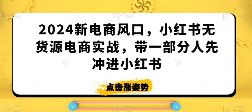 2024新电商风口，小红书无货源电商实战，带一部分人先冲进小红书 - 严选资源大全 - 严选资源大全