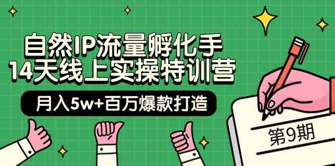 自然IP流量孵化手14天线上实操特训营【第9期】月入5w+百万爆款打造 (74节) - 严选资源大全 - 严选资源大全