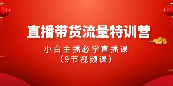 2024直播带货流量特训营，小白主播必学直播课（9节视频课） - 严选资源大全 - 严选资源大全