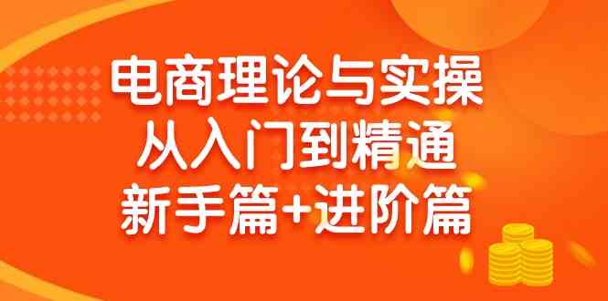 （9576期）电商理论与实操从入门到精通 新手篇+进阶篇 - 严选资源大全 - 严选资源大全