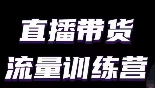 直播带货流量训练营，小白主播必学直播课 - 严选资源大全 - 严选资源大全