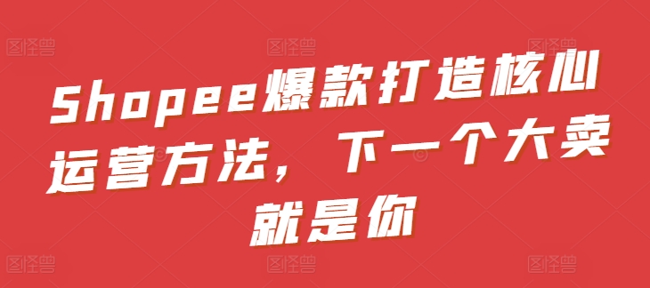 Shopee爆款打造核心运营方法，下一个大卖就是你 - 严选资源大全 - 严选资源大全