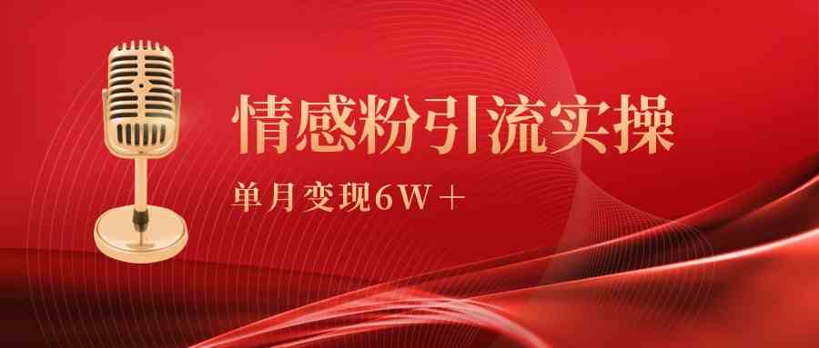 （9473期）单月变现6w+，情感粉引流变现实操课 - 严选资源大全 - 严选资源大全