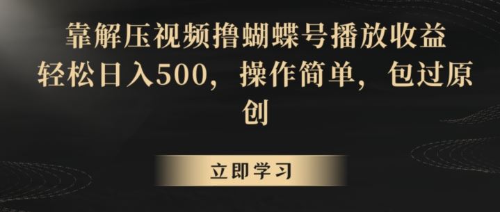 靠解压视频撸蝴蝶号播放收益，轻松日入500，操作简单，包过原创【揭秘】 - 严选资源大全 - 严选资源大全