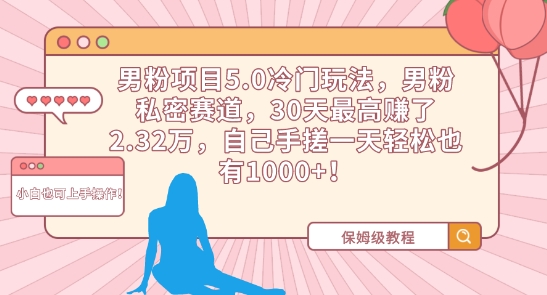 男粉项目5.0冷门玩法，男粉私密赛道，30天最高赚了2.32万，自己手搓一天轻松也有1000+ - 严选资源大全 - 严选资源大全