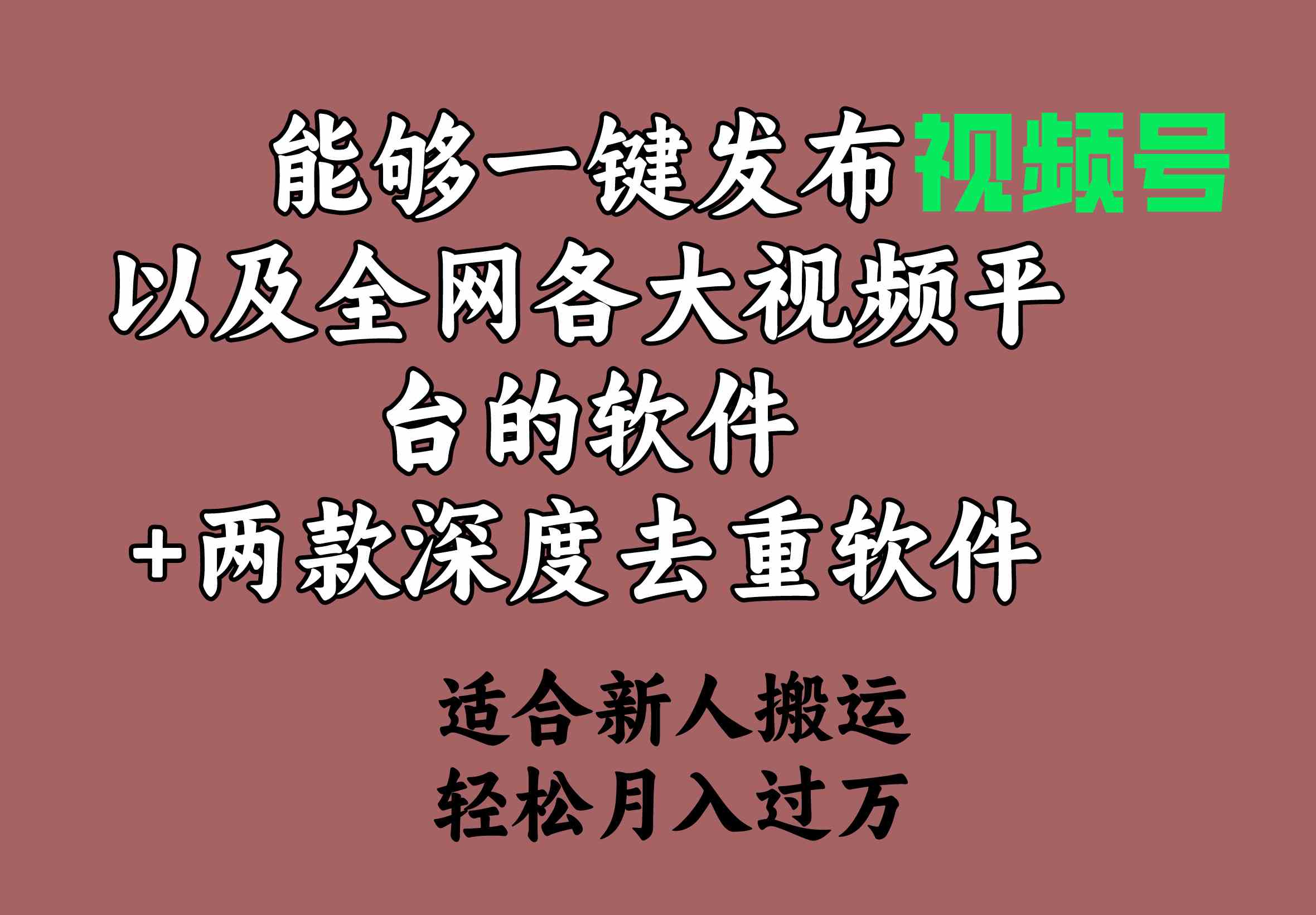 （9319期）能够一键发布视频号以及全网各大视频平台的软件+两款深度去重软件 适合… - 严选资源大全 - 严选资源大全