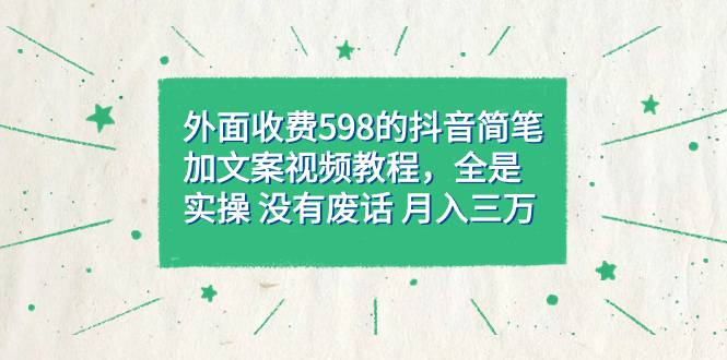 外面收费598抖音简笔加文案教程，全是实操 没有废话 月入三万（教程+资料） - 严选资源大全 - 严选资源大全