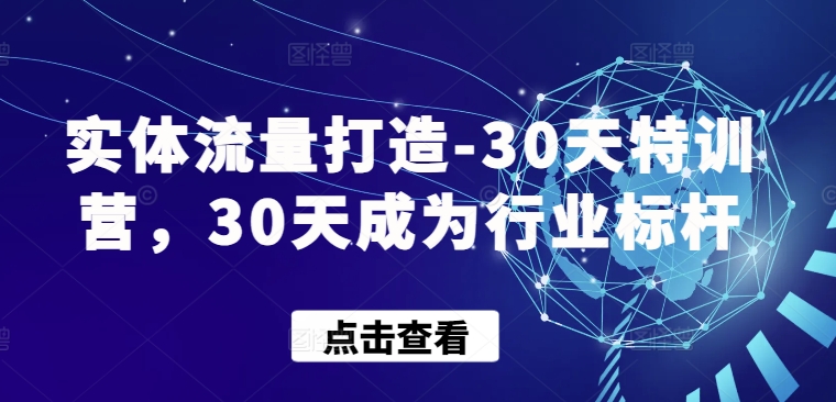 实体流量打造-30天特训营，30天成为行业标杆 - 严选资源大全 - 严选资源大全