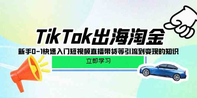 TikTok出海淘金，新手0-1快速入门短视频直播带货等引流到变现的知识 - 严选资源大全 - 严选资源大全