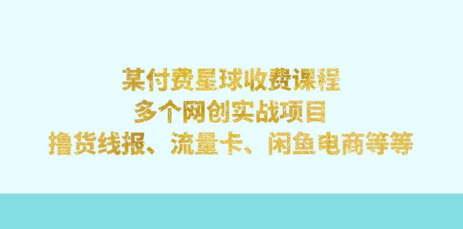 某付费星球课程：多个网创实战项目，撸货线报、流量卡、闲鱼电商等等 - 严选资源大全 - 严选资源大全