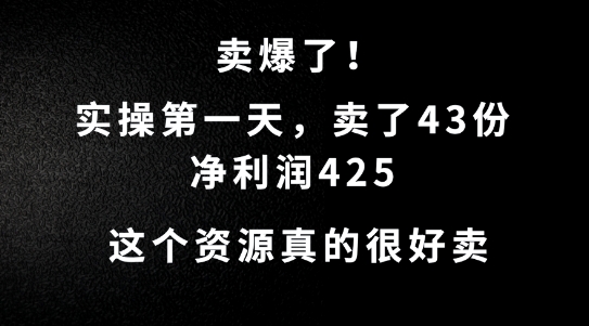 这个资源，需求很大，实操第一天卖了43份，净利润425【揭秘】 - 严选资源大全 - 严选资源大全