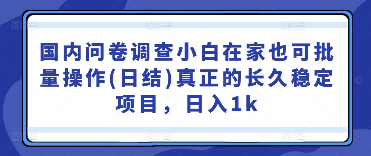 国内问卷调查小白在家也可批量操作(日结)真正的长久稳定项目，日入1k【揭秘】 - 严选资源大全 - 严选资源大全