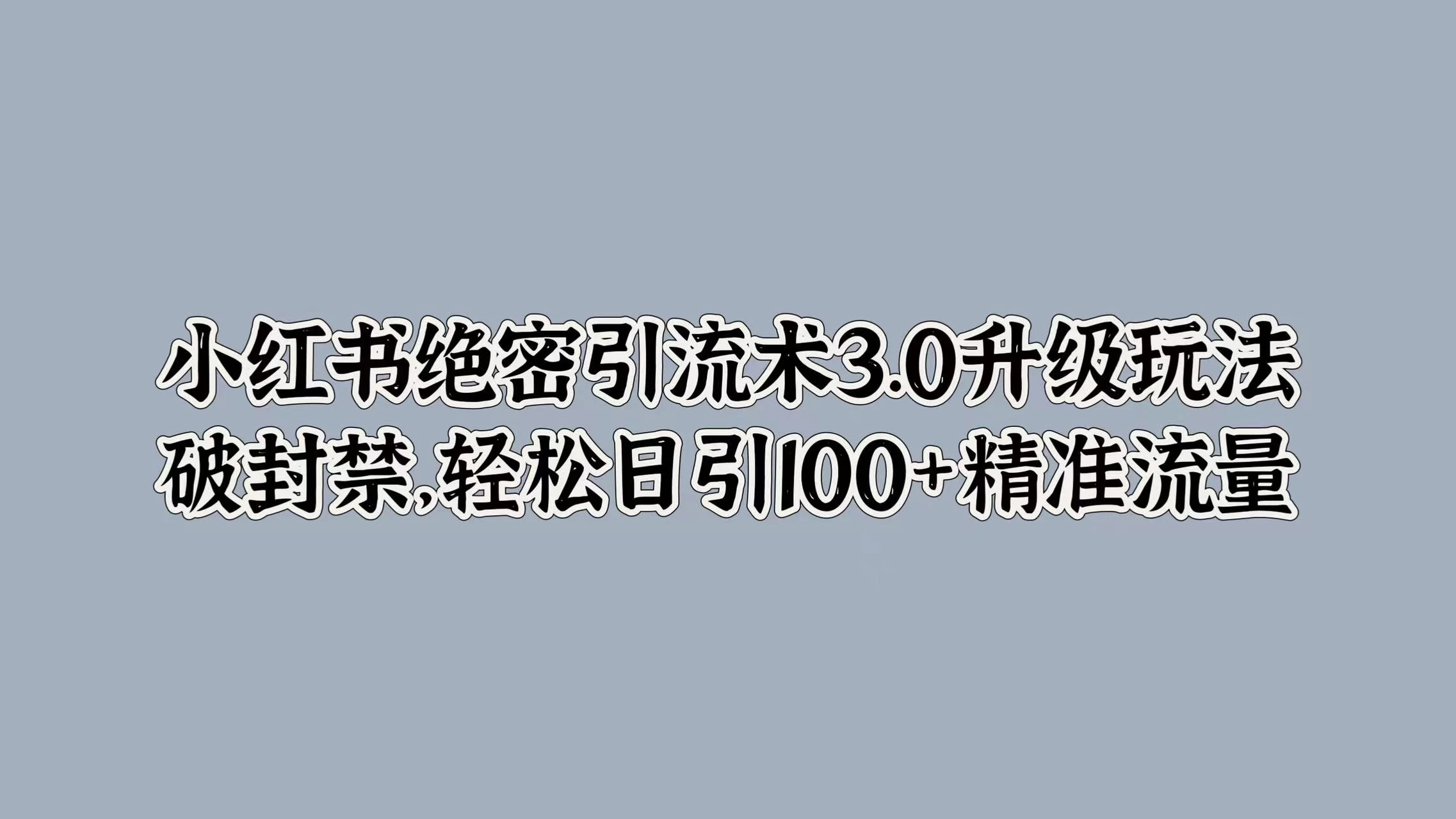 小红书绝密引流术3.0升级玩法，破封禁，轻松日引100+精准流量 - 严选资源大全 - 严选资源大全