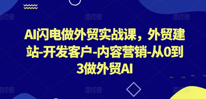 AI闪电做外贸实战课，​外贸建站-开发客户-内容营销-从0到3做外贸AI(更新) - 严选资源大全 - 严选资源大全