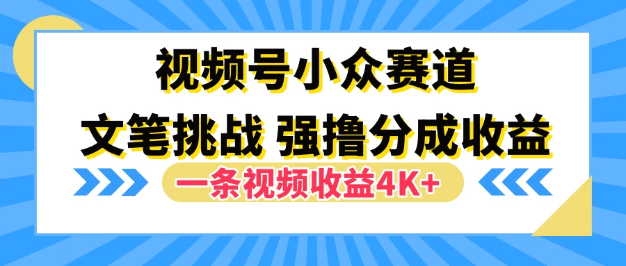 视频号小众赛道，文笔挑战，一条视频收益4K+ - 严选资源大全 - 严选资源大全