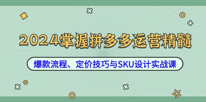 2024掌握拼多多运营精髓：爆款流程、定价技巧与SKU设计实战课 - 严选资源大全 - 严选资源大全