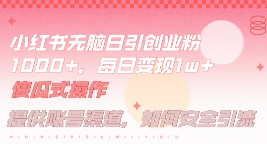 小红书无脑每日引流创业粉500+，小白每天只花半小时，躺赚长尾收益【揭秘】 - 严选资源大全 - 严选资源大全