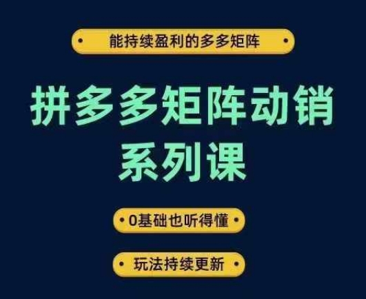 拼多多矩阵动销系列课，能持续盈利的多多矩阵，0基础也听得懂，玩法持续更新 - 严选资源大全 - 严选资源大全