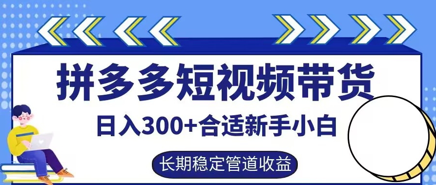 拼多多短视频带货日入300+有长期稳定被动收益，合适新手小白【揭秘】 - 严选资源大全 - 严选资源大全