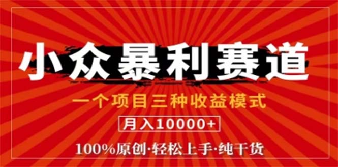 视频号最新爆火赛道，三种可收益模式，0粉新号条条原创条条热门 日入1000+ - 严选资源大全 - 严选资源大全