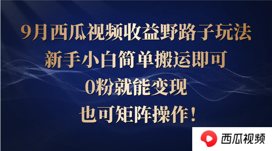 西瓜视频收益野路子玩法，新手小白简单搬运即可，0粉就能变现，也可矩… - 严选资源大全 - 严选资源大全