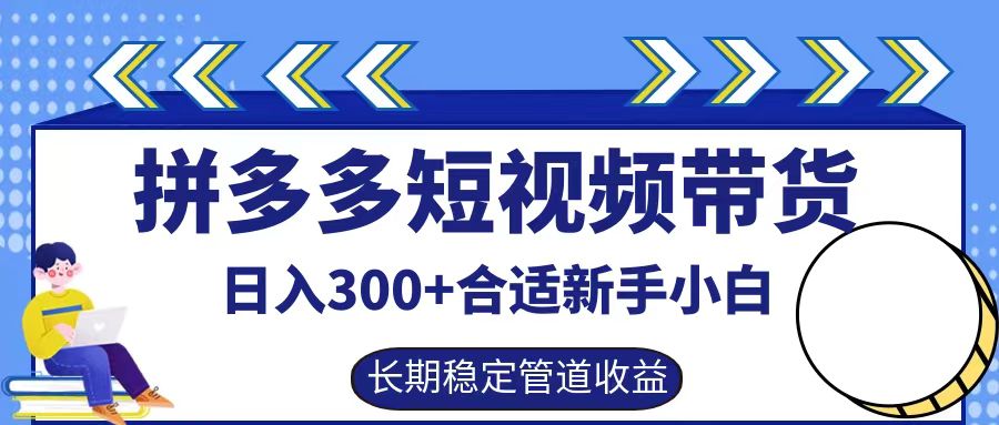 拼多多短视频带货日入300+，实操账户展示看就能学会 - 严选资源大全 - 严选资源大全