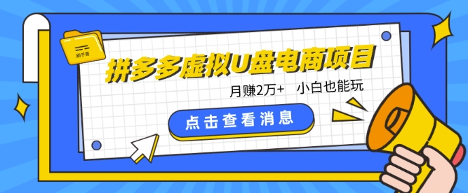 拼多多虚拟U盘电商红利项目：月赚2万+，新手小白也能玩 - 严选资源大全 - 严选资源大全