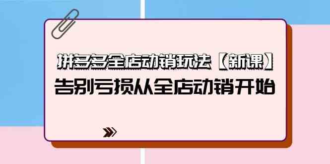 （9974期）拼多多全店动销玩法【新课】，告别亏损从全店动销开始（4节视频课） - 严选资源大全 - 严选资源大全