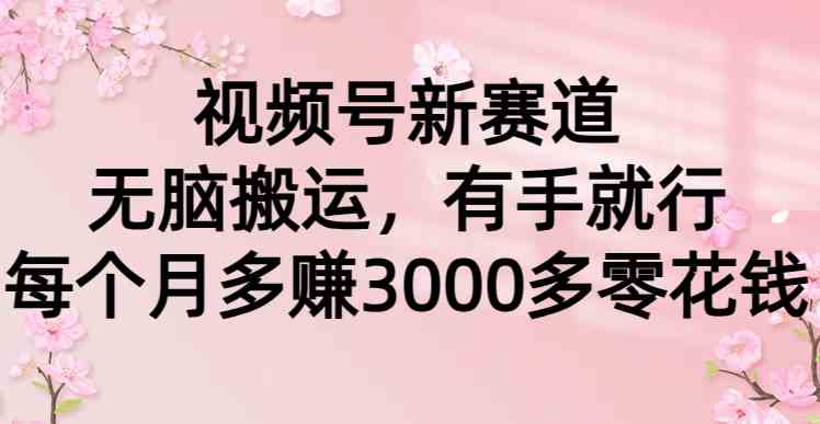 （9277期）视频号新赛道，无脑搬运，有手就行，每个月多赚3000多零花钱 - 严选资源大全 - 严选资源大全