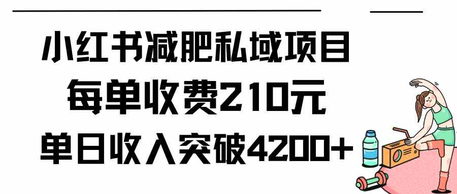 （9466期）小红书减肥私域项目每单收费210元单日成交20单，最高日入4200+ - 严选资源大全 - 严选资源大全