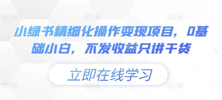 小绿书精细化操作变现项目，0基础小白，不发收益只讲干货 - 严选资源大全 - 严选资源大全