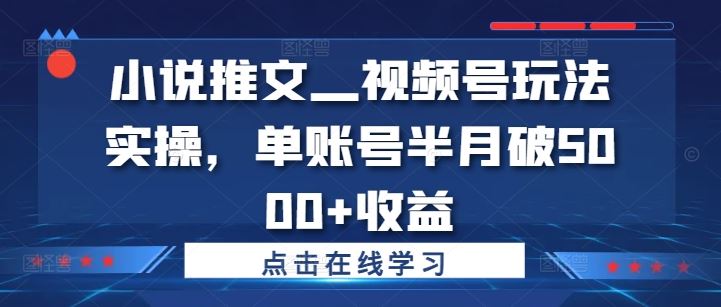 小说推文—视频号玩法实操，单账号半月破5000+收益 - 严选资源大全 - 严选资源大全