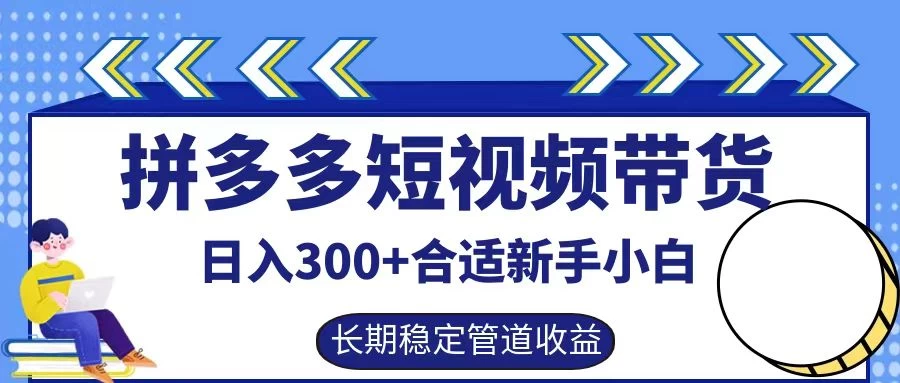 拼多多短视频带货日入300+保姆级实操账户展示 - 严选资源大全 - 严选资源大全